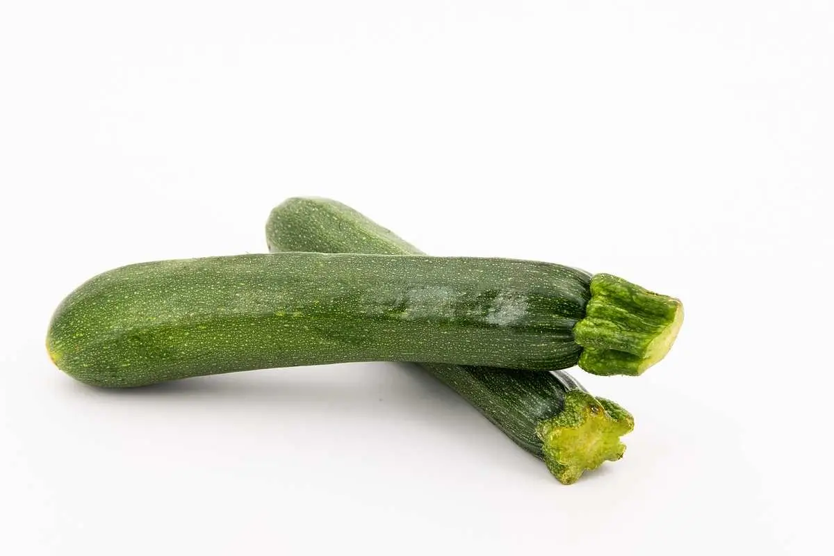 ¿Crees que tu calabacín necesita sol todo el día? Este error común puede estar matando tu cosecha