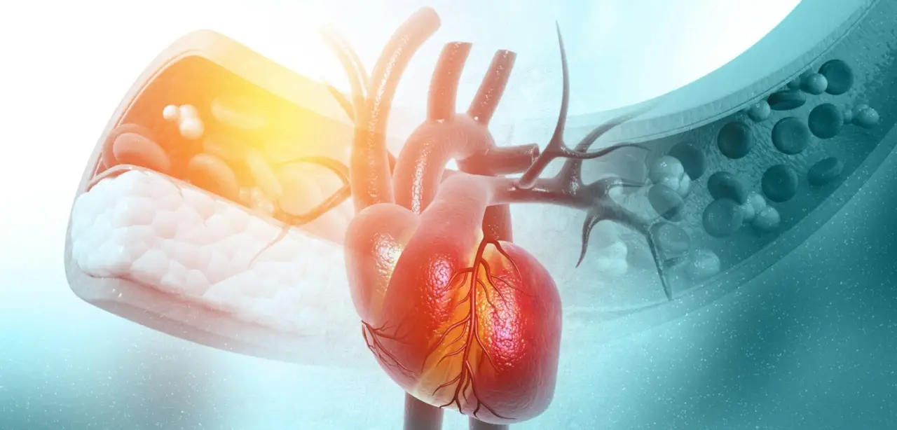 ¿Jóvenes sanos que mueren inesperadamente? Podría deberse a esta enfermedad cardíaca genética oculta