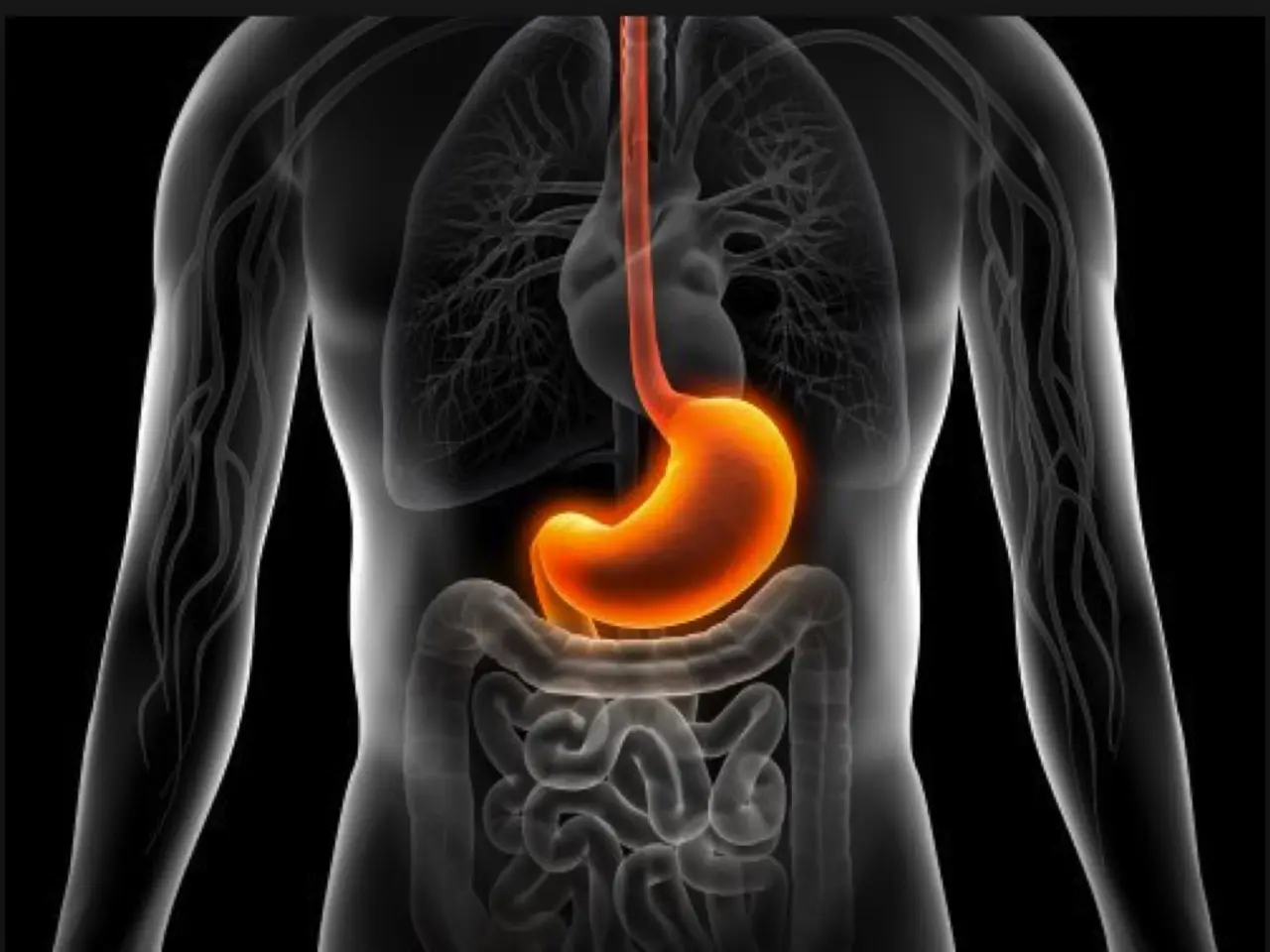 No ignores estos síntomas: así está destruyendo tu salud un sistema digestivo enfermo