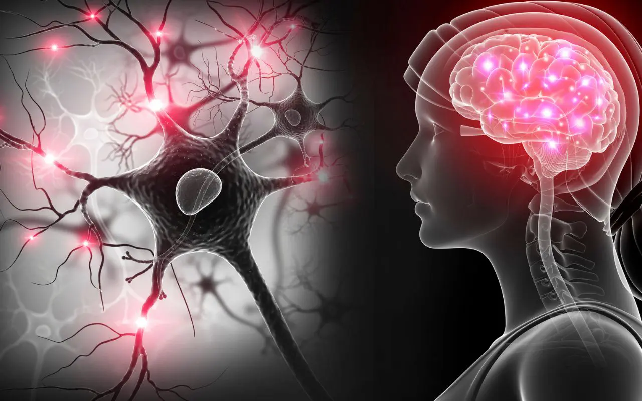 Dolor y ardor en los nervios: come esto para desinflamarlos rápidamente