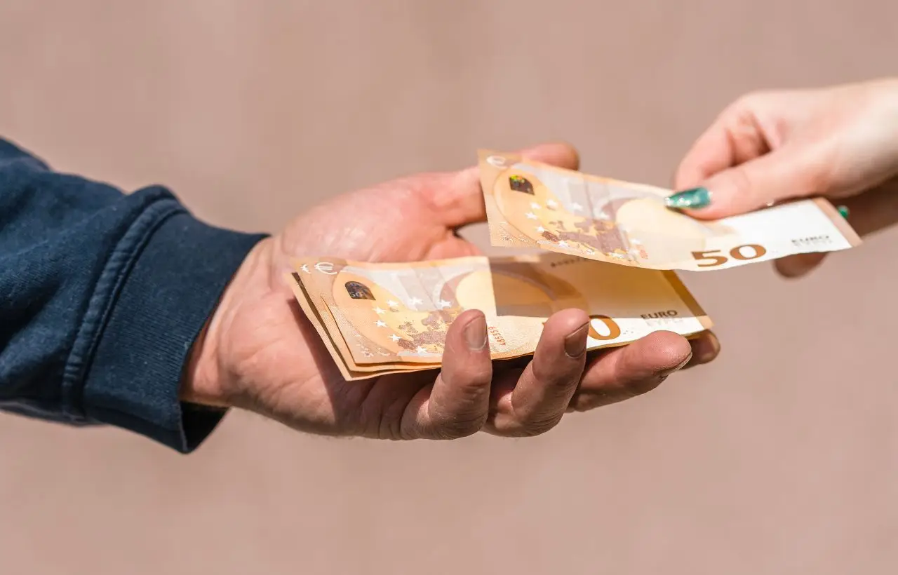 ¿Cuánto debes cobrar por el desbroce de un terreno?