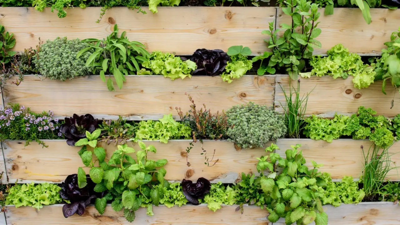 El secreto de los jardines verticales: cómo purifican el aire de tu casa al instante