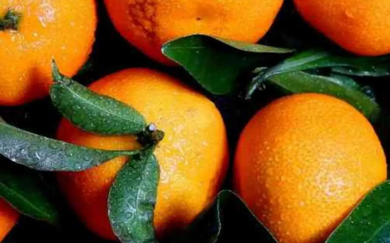 Sufres de artritis? Evita comer esta fruta común porque empeora la inflamación y el dolor